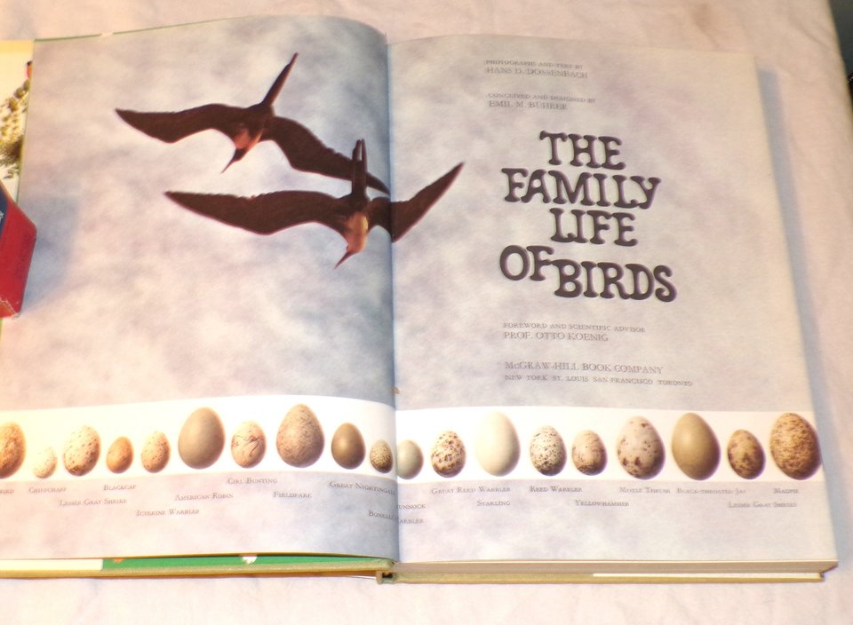 Family Life of Birds, Vintage Book, First Edition