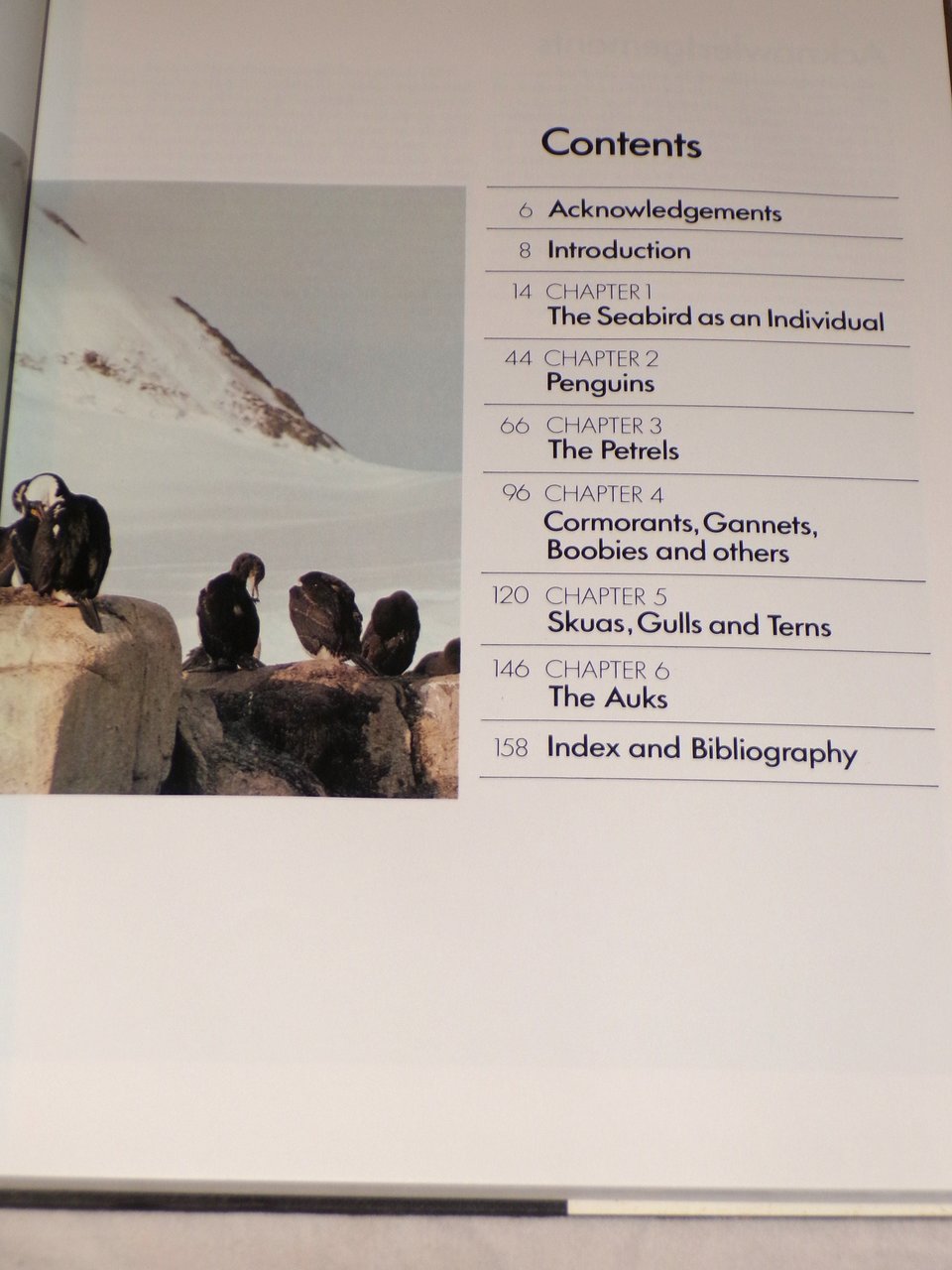 Seabirds of the World, Vintage Book, First Edition