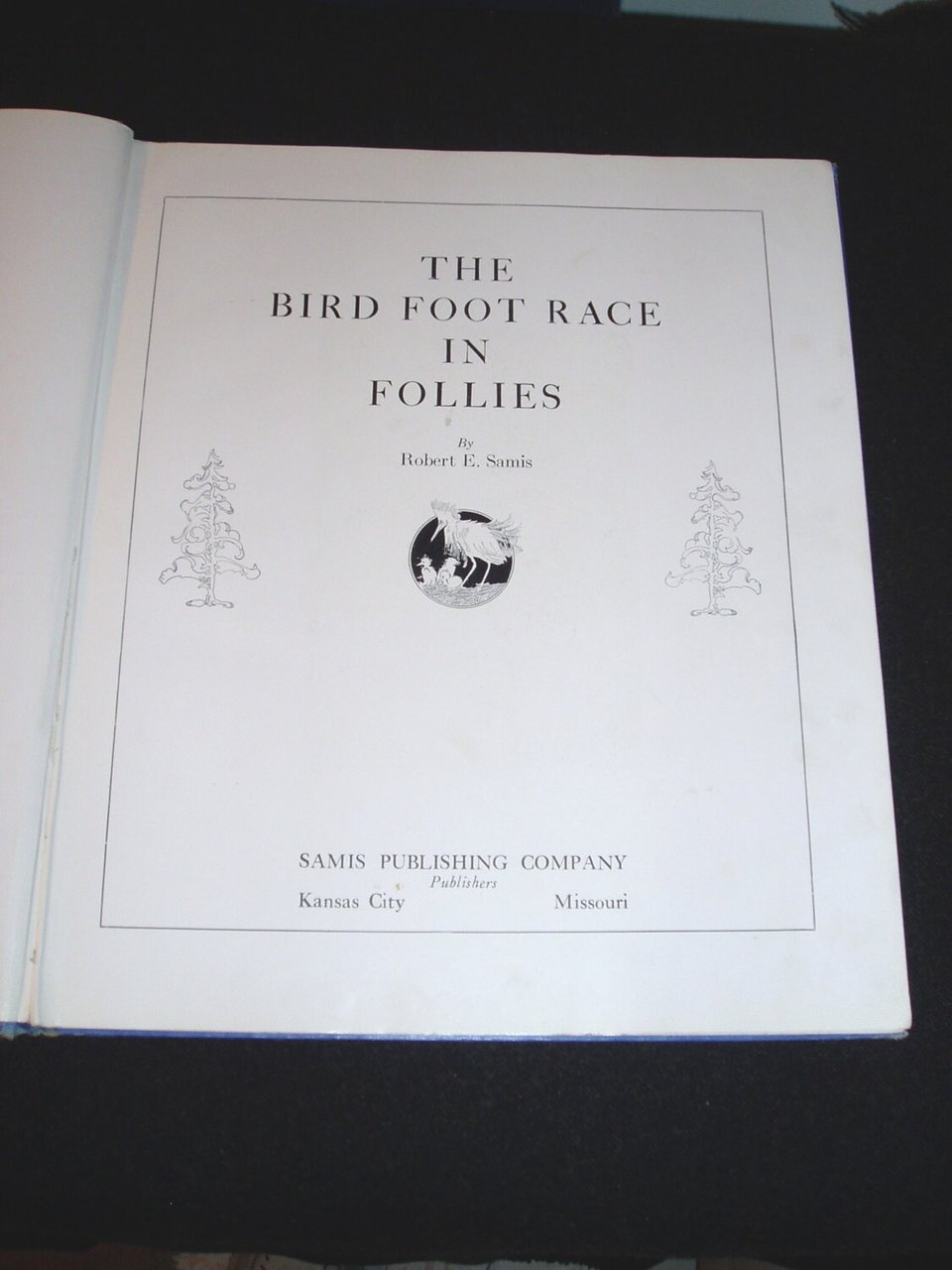 Vintage Bird Book, First Edition, Rare Cover, Bird Foot-Race in Follies