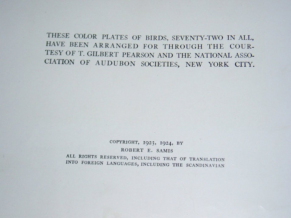 Vintage Bird Book, First Edition, Rare Cover, Bird Foot-Race in Follies