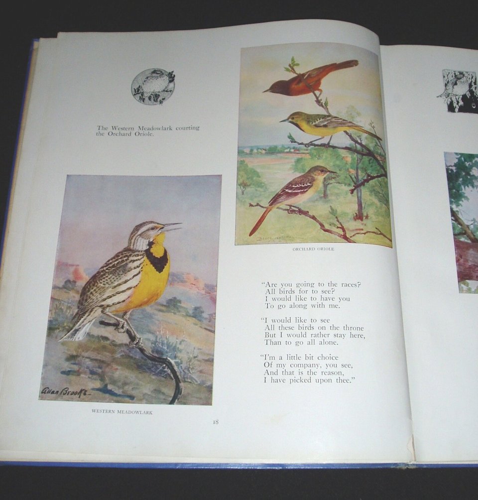 Vintage Bird Book, First Edition, Rare Cover, Bird Foot-Race in Follies