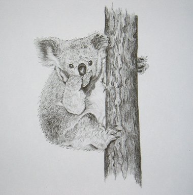 Thorpe, Koala Publishers Print, "If A Man Answers--!!"