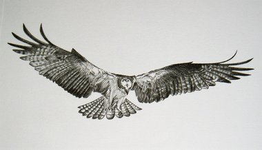 Thorpe, Hawk Publishers Print, "Your Friendly IRS Agent"