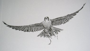 Thorpe, Hawk Publishers Print, "Where Did I Leave Those Damn Keys?!"