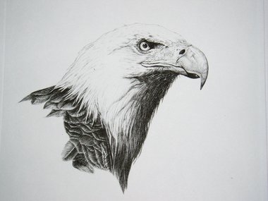 Thorpe, Bald Eagle Publishers Print, "Karl Malden, Eat Your Heart Out!!"