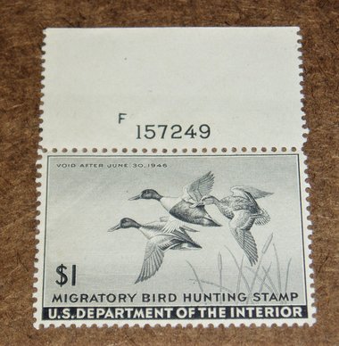 Duck Hunting Stamp, 1945-46, Plate Number Single Scott Catalog #RW12, Free USA Shipping