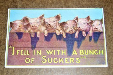 Edwardian Humorous Postcard, Piglings, Additional Cards Ship Free