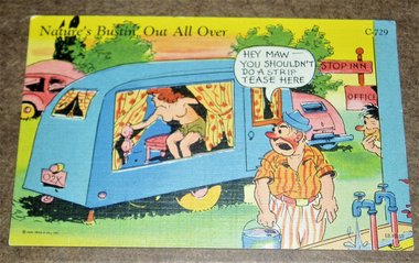 Vintage Postcard "Nature's Bustin' Out All Over", Cartoon 1940's Risque Humor, Outhouse, 2nd Card Ships Free