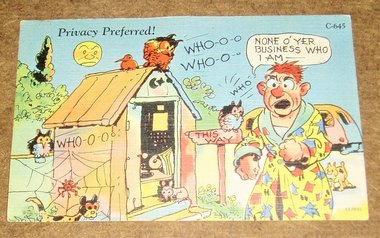 Vintage Postcard "Privacy Preferred", Cartoon 1940's Humor, Outhouse, 2nd Card Ships Free