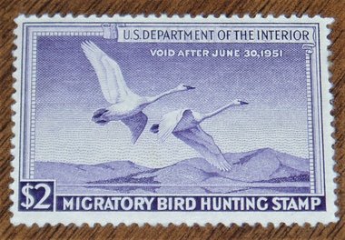 Federal Duck Stamp RW17, Very Fine, Disturbed Gum
