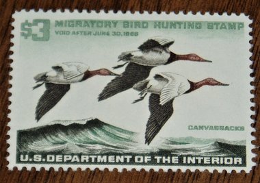 Federal Duck Stamp RW32, F-VF, Never Hinged